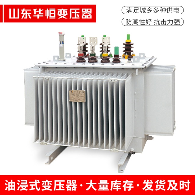 S13-10000/35延平延平延平电力变压器